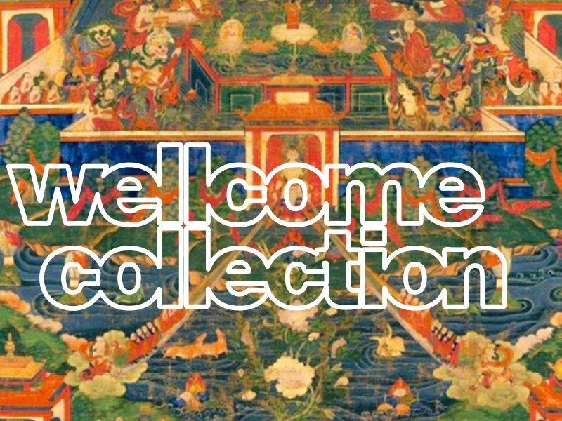 Wellcome Collection Exhibition